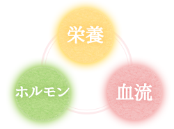 妊娠に欠かせない要素は栄養・ホルモン・血流